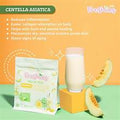 Freshies Melon Milk – Refreshing Melon Milk Drink for Hydration, Skin Glow & Daily Wellness